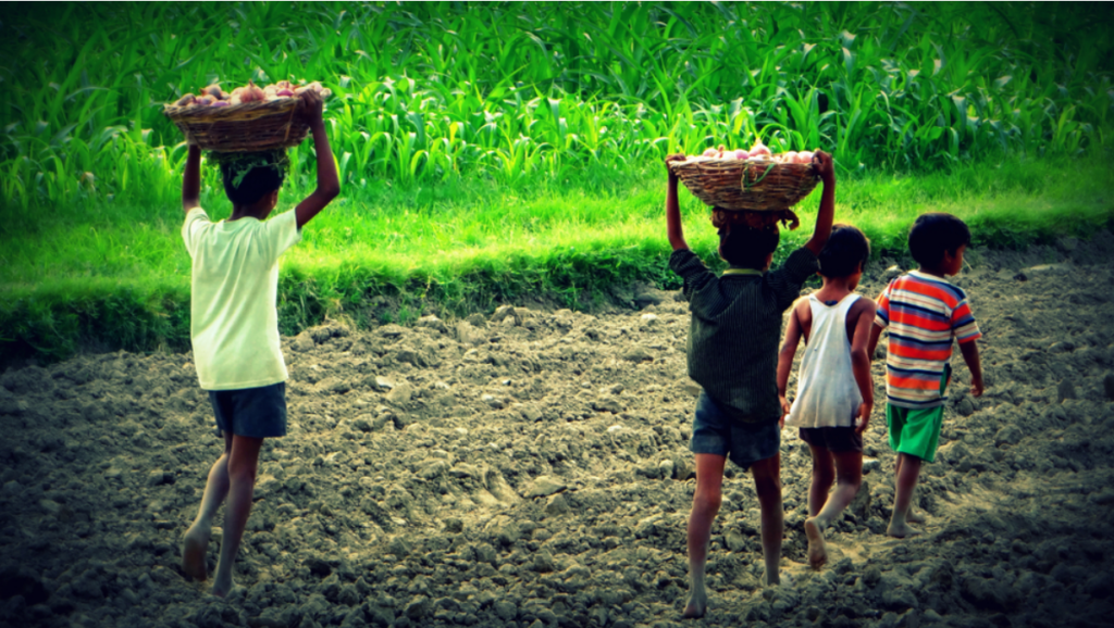 Child Labour